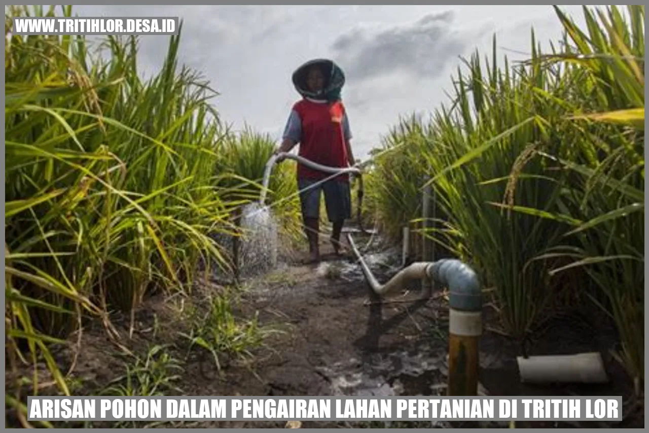 Mengalirkan Kemakmuran: Upaya Masyarakat dalam Pengairan Lahan Pertanian di Tritih Lor
