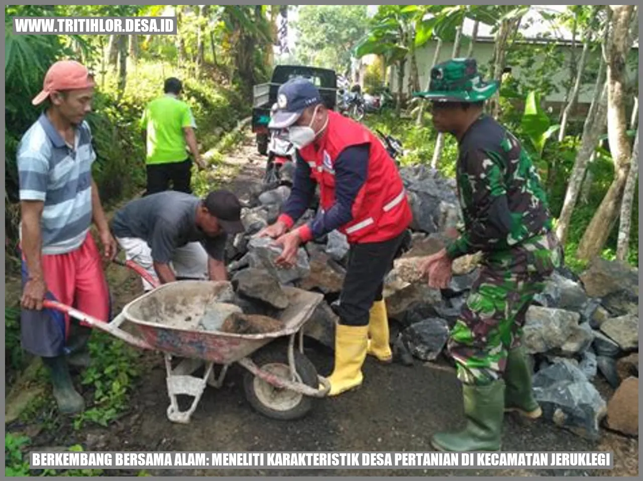 Berkembang Bersama Alam: Meneliti Karakteristik Desa Pertanian di Kecamatan Jeruklegi