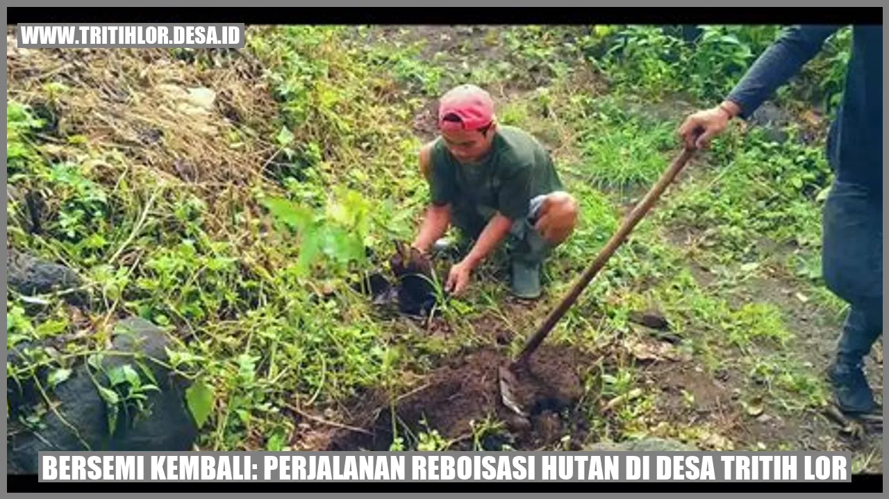 Reboisasi Hutan