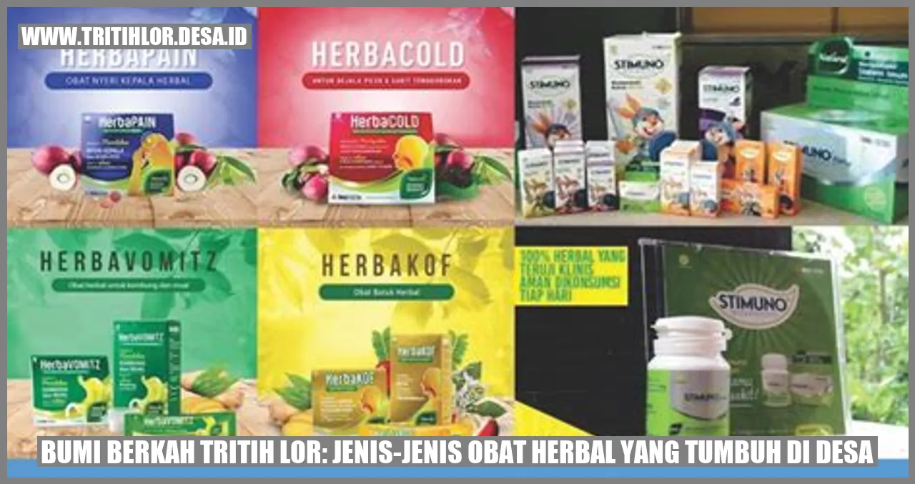 Bumi Berkah Tritih Lor: Jenis-jenis Obat Herbal yang Tumbuh di Desa