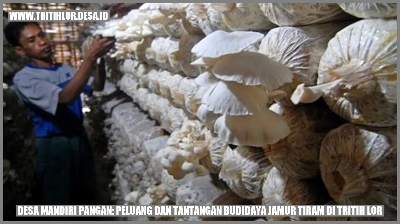 Desa Mandiri Pangan: Peluang dan Tantangan Budidaya Jamur Tiram di Tritih Lor