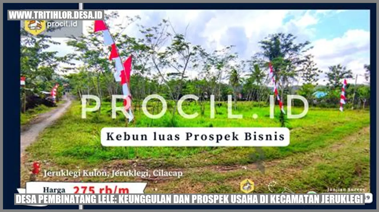 Gambar Desa Pembinatang Lele