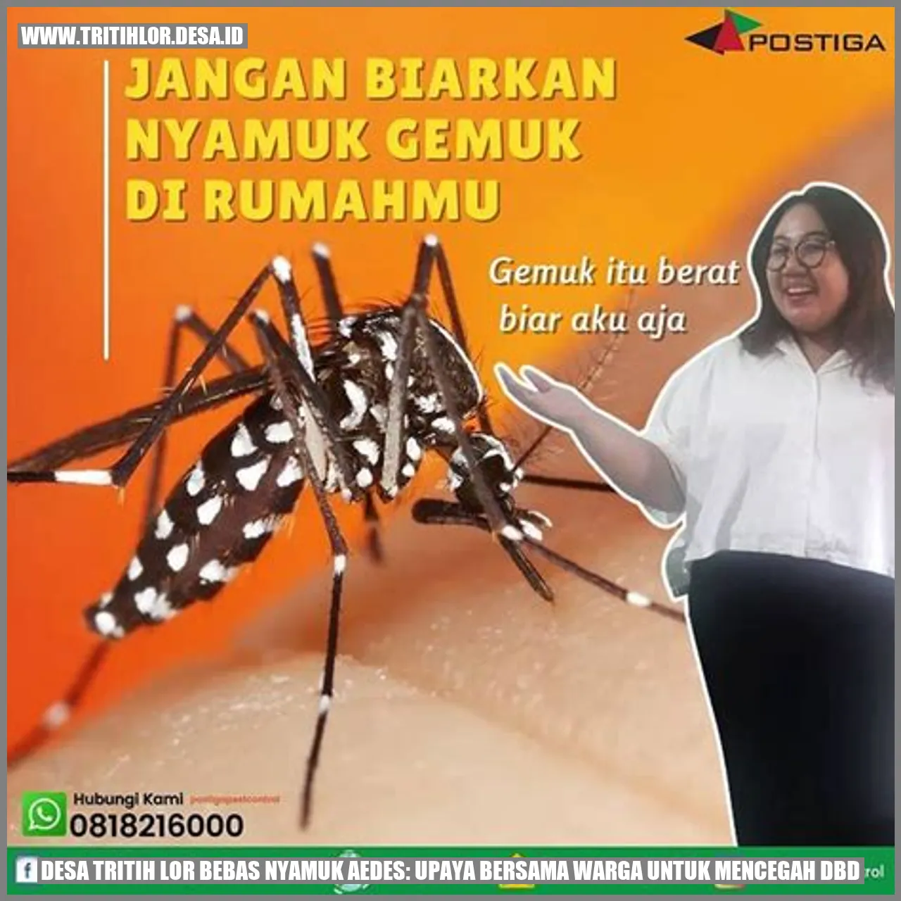 Desa Tritih Lor Bebas Nyamuk Aedes