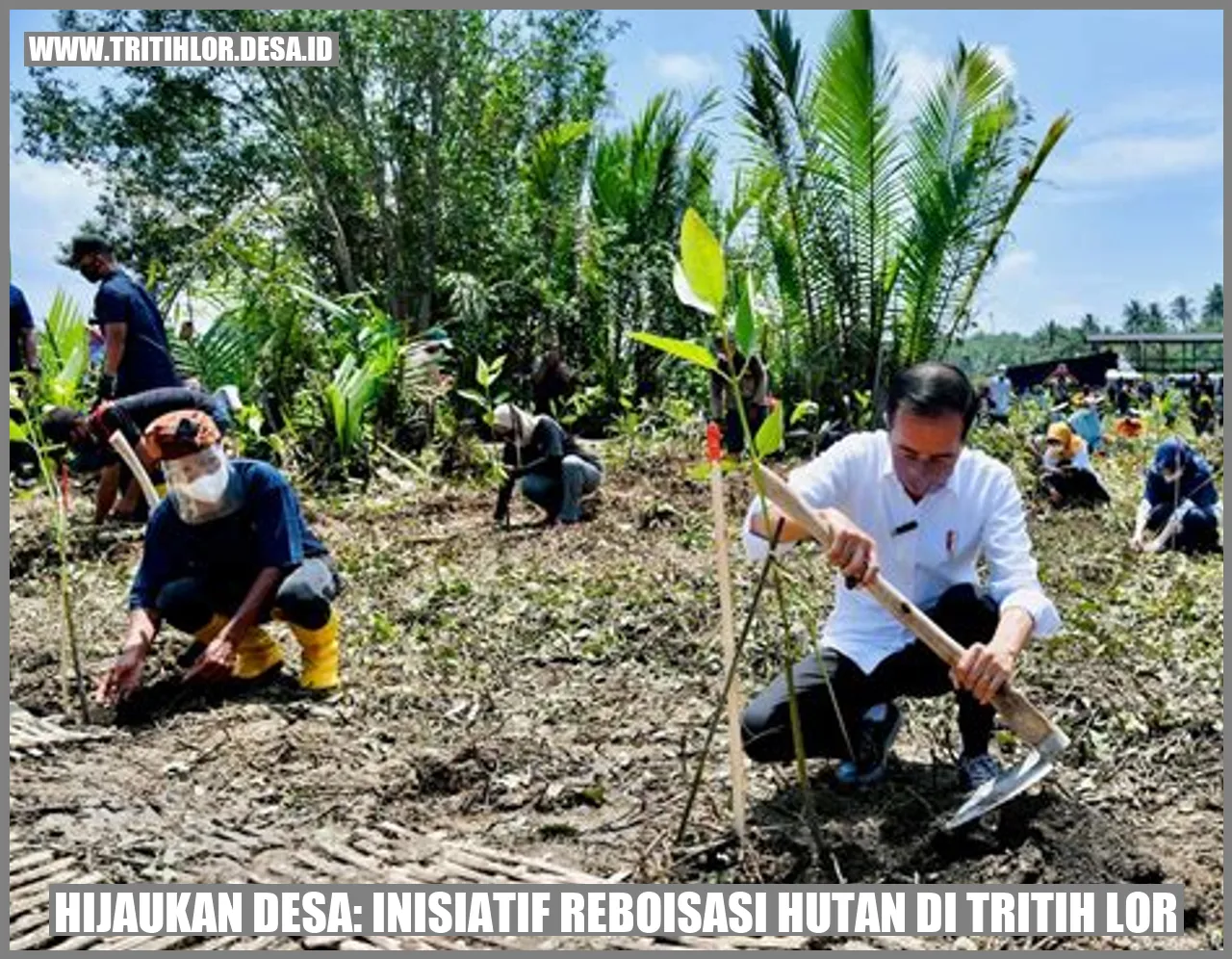 Hijaukan Desa: Inisiatif Reboisasi Hutan di Tritih Lor