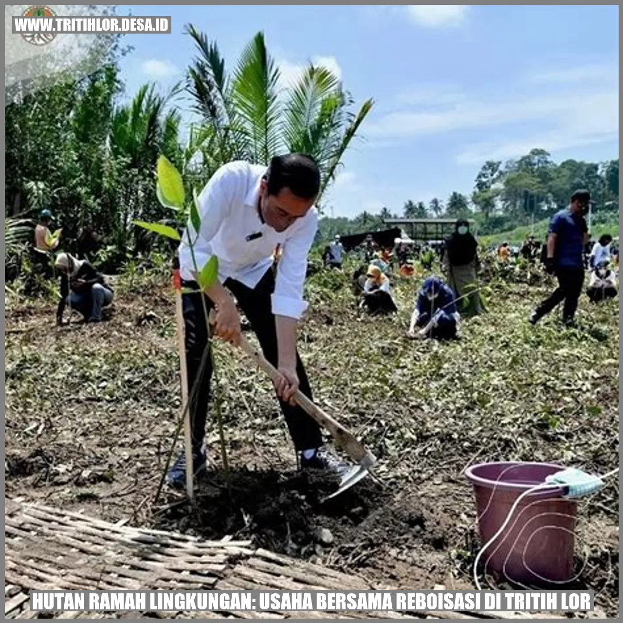 Reboisasi di Tritih Lor