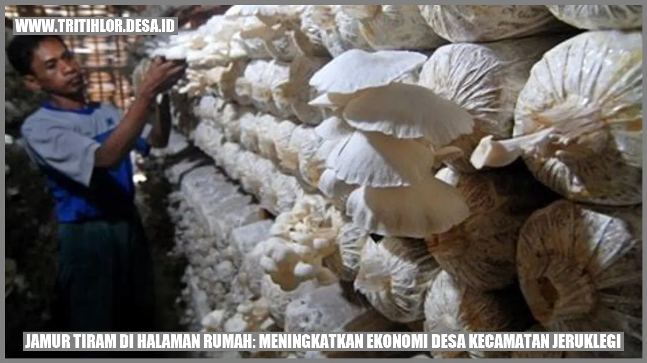 Gambar jamur tiram di halaman rumah