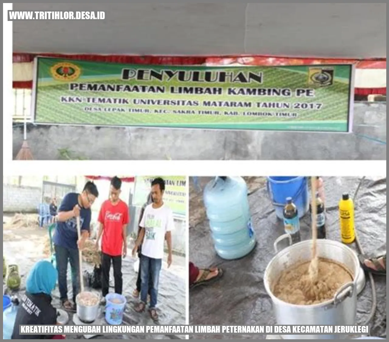 Kreatifitas Mengubah Lingkungan: Pemanfaatan Limbah Peternakan di Desa Kecamatan Jeruklegi