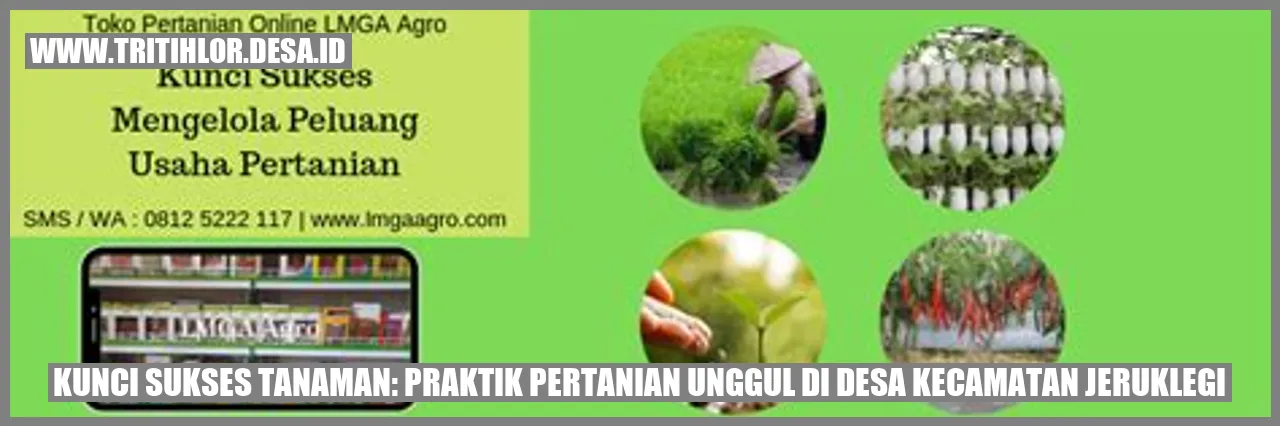 Praktik Pertanian Unggul di Desa Kecamatan Jeruklegi