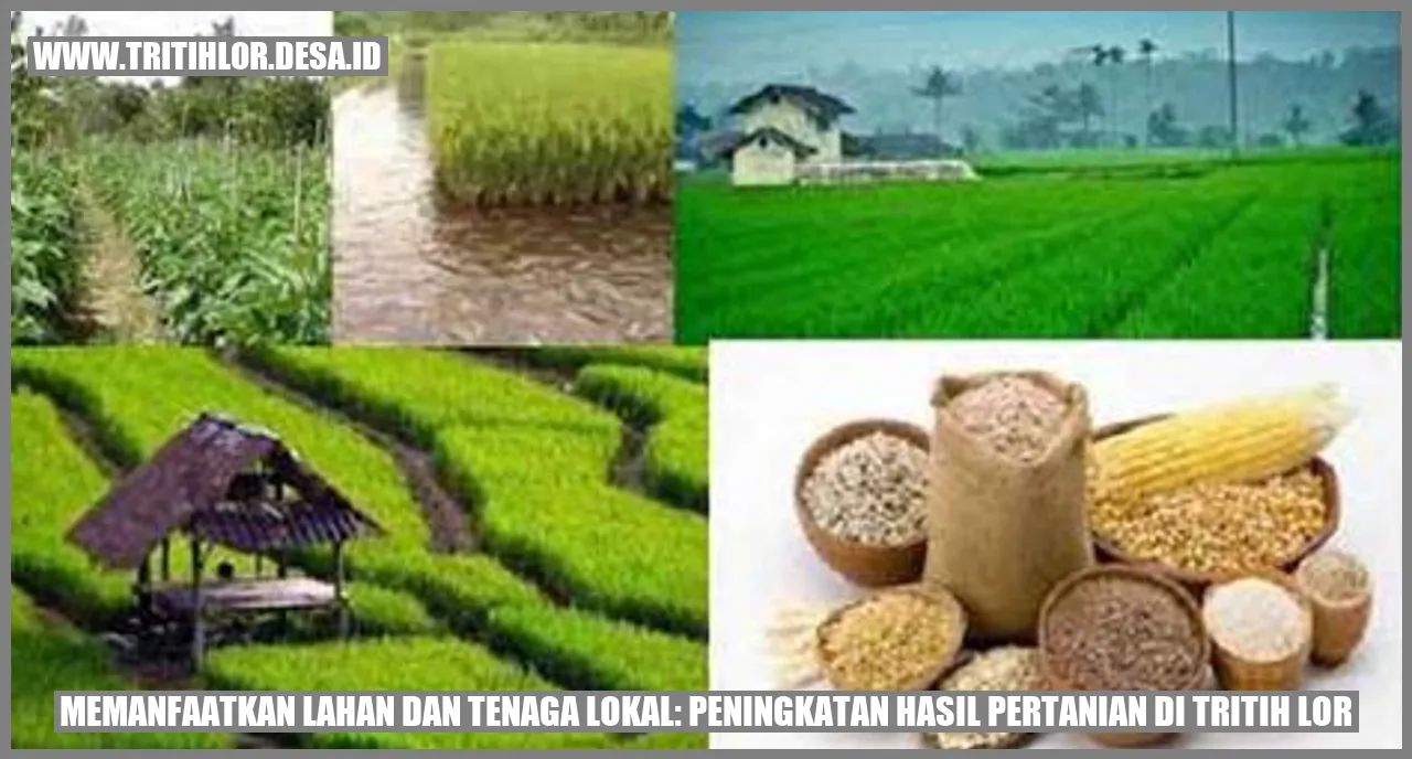 Memanfaatkan Lahan dan Tenaga Lokal: Peningkatan Hasil Pertanian di Tritih Lor