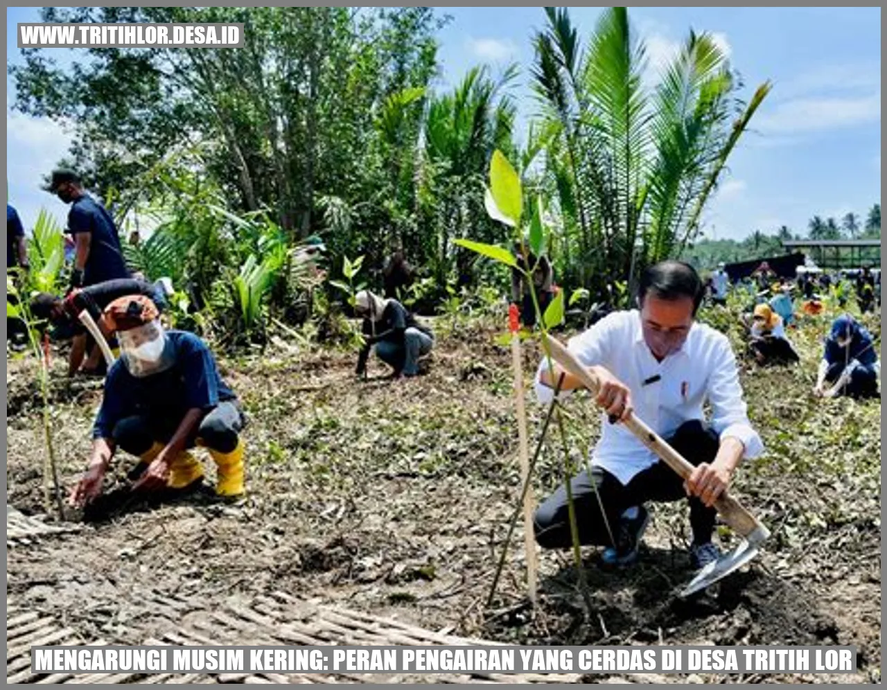 Gambar Pengairan di Desa Tritih Lor