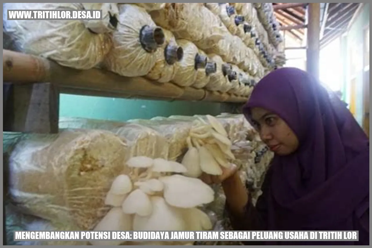 Budidaya Jamur Tiram di Tritih Lor