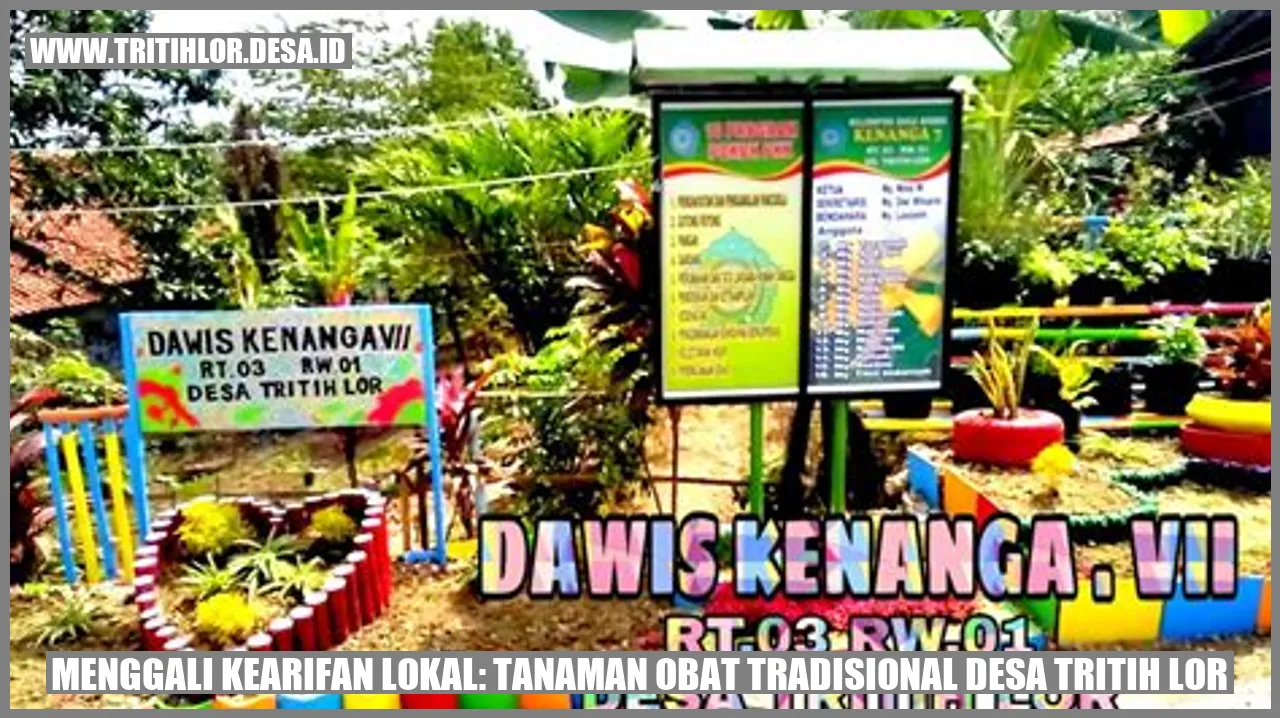 Tanaman Obat Tradisional Desa Tritih Lor