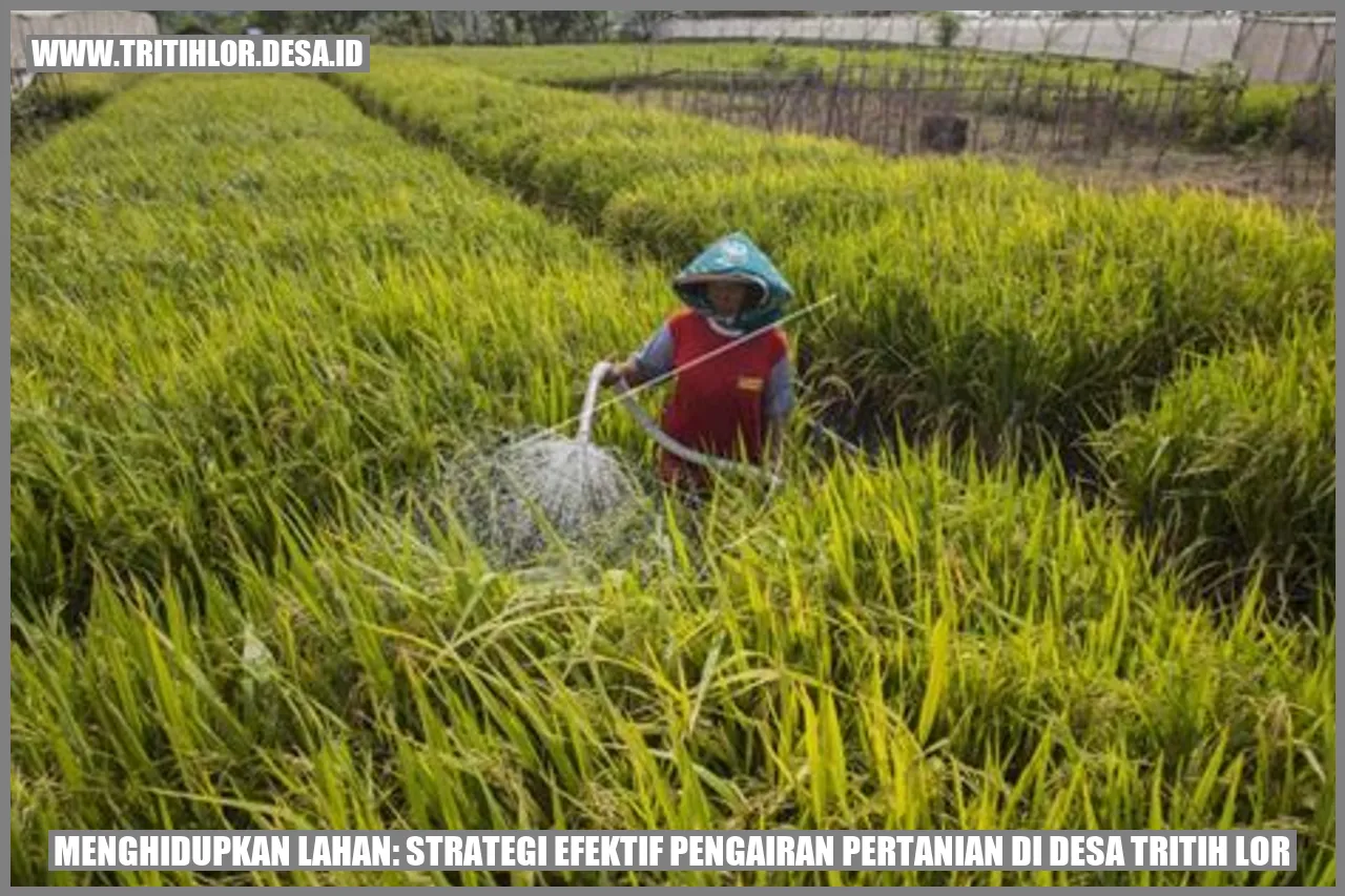 Pengairan Pertanian di Desa Tritih Lor