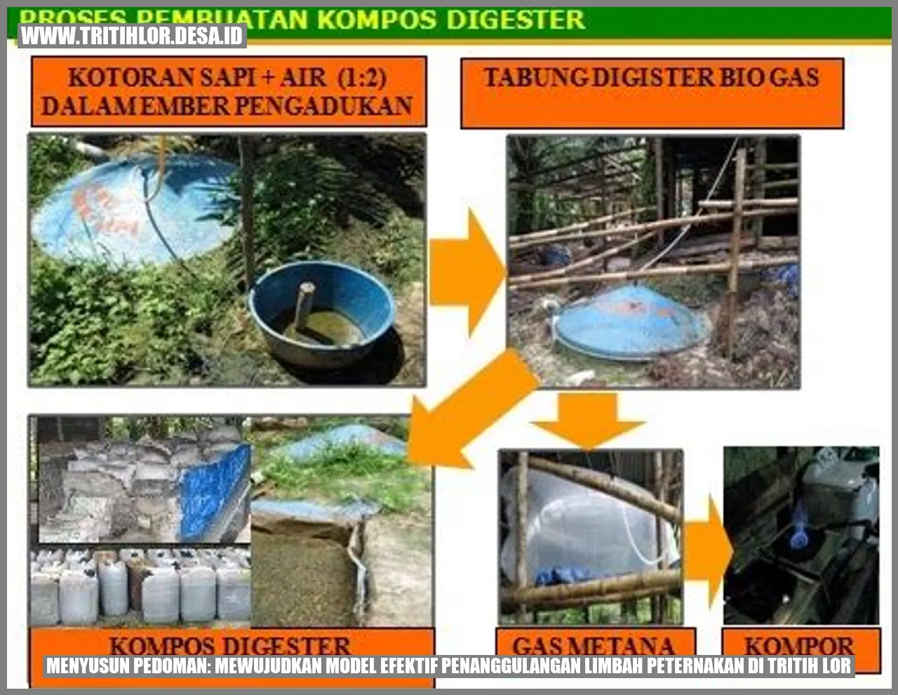 Limbah Peternakan di Tritih Lor
