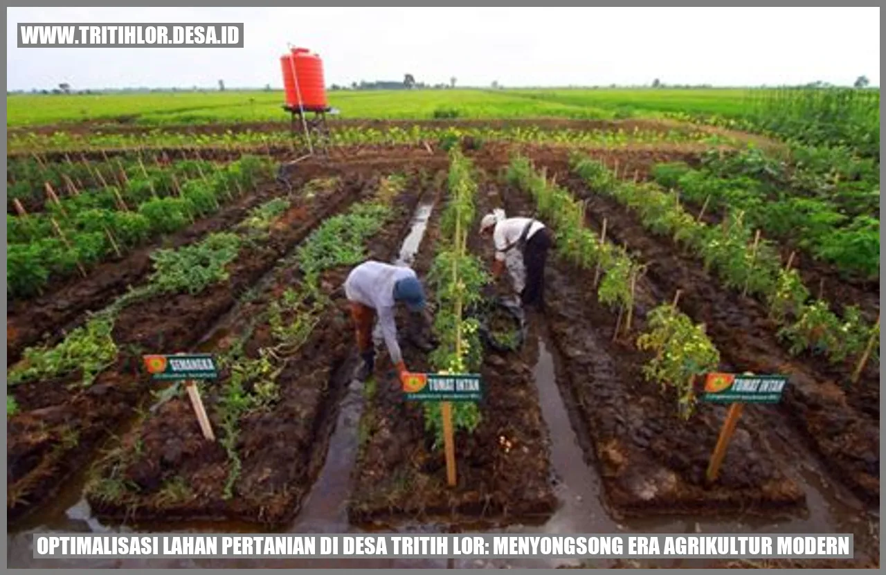 Optimalisasi Lahan Pertanian di Desa Tritih Lor: Menyongsong Era Agrikultur Modern