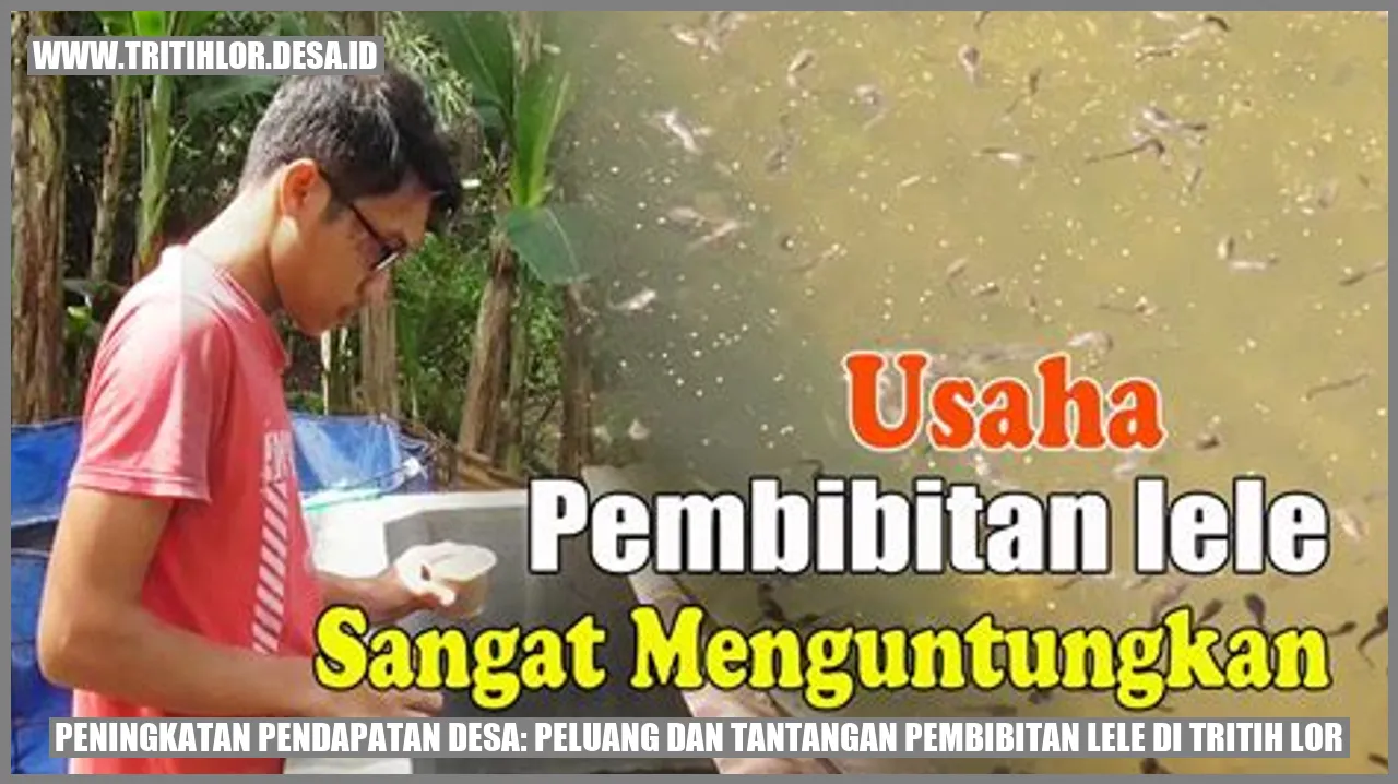Peningkatan Pendapatan Desa: Peluang dan Tantangan Pembibitan Lele di Tritih Lor