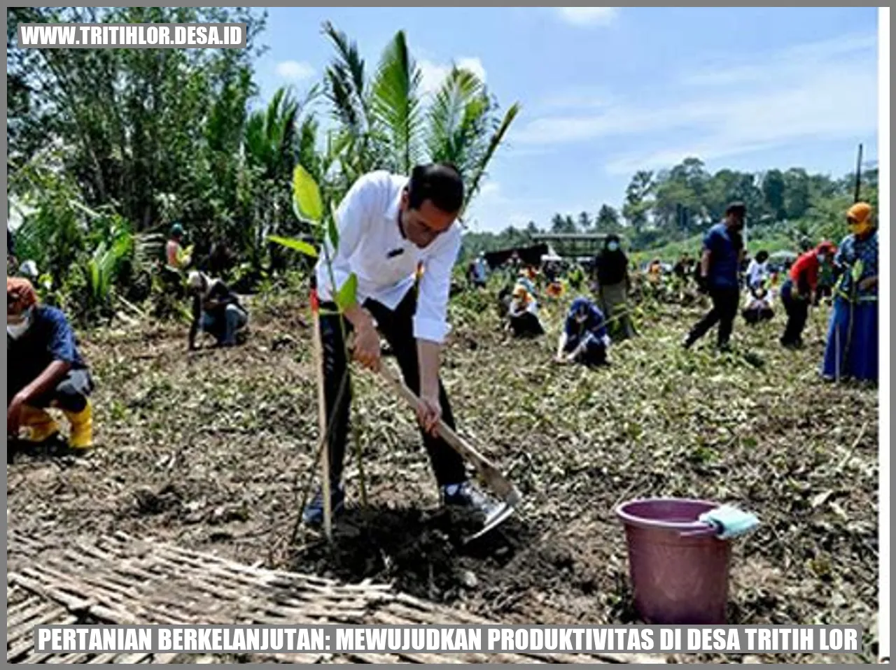 Pertanian Berkelanjutan: Mewujudkan Produktivitas di Desa Tritih Lor