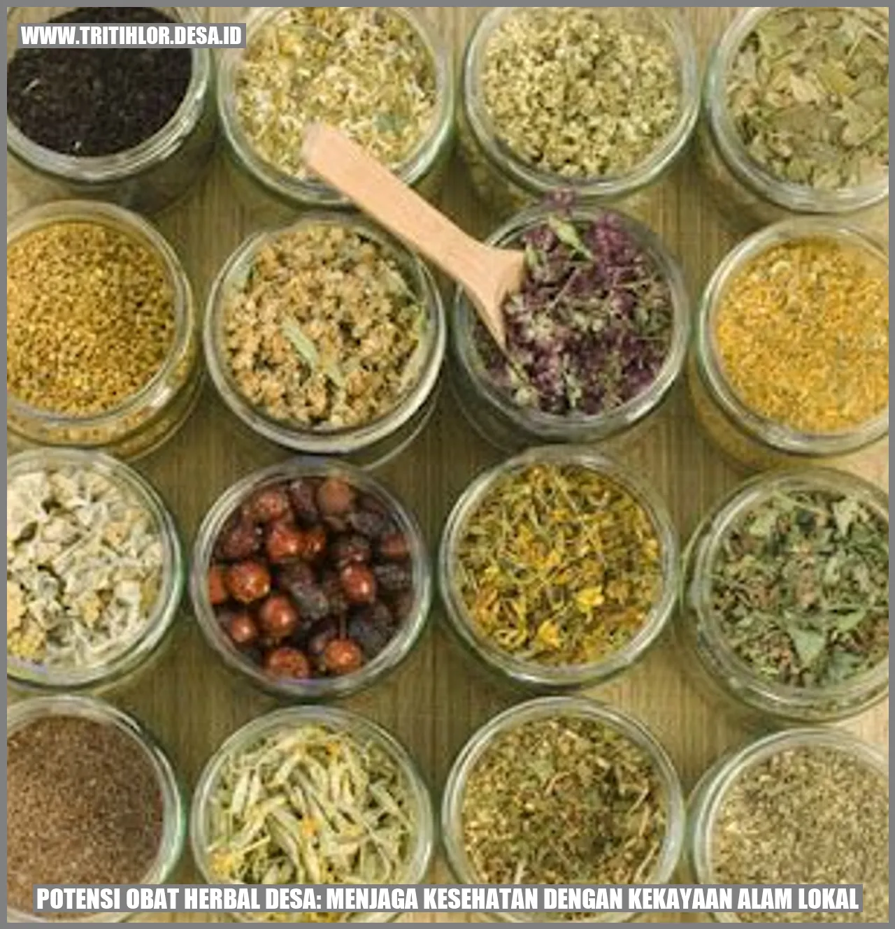 Potensi Obat Herbal Desa: Menjaga Kesehatan dengan Kekayaan Alam Lokal