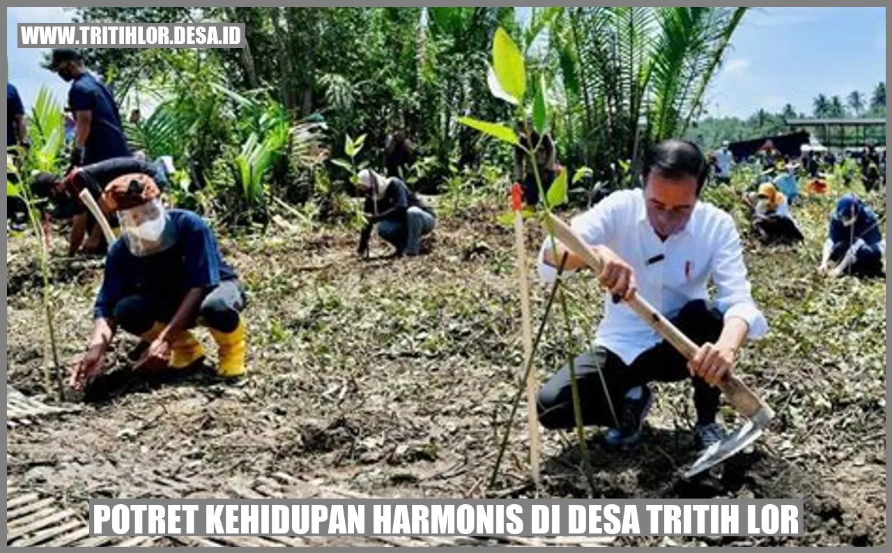 Potret Kehidupan Harmonis di Desa Tritih Lor