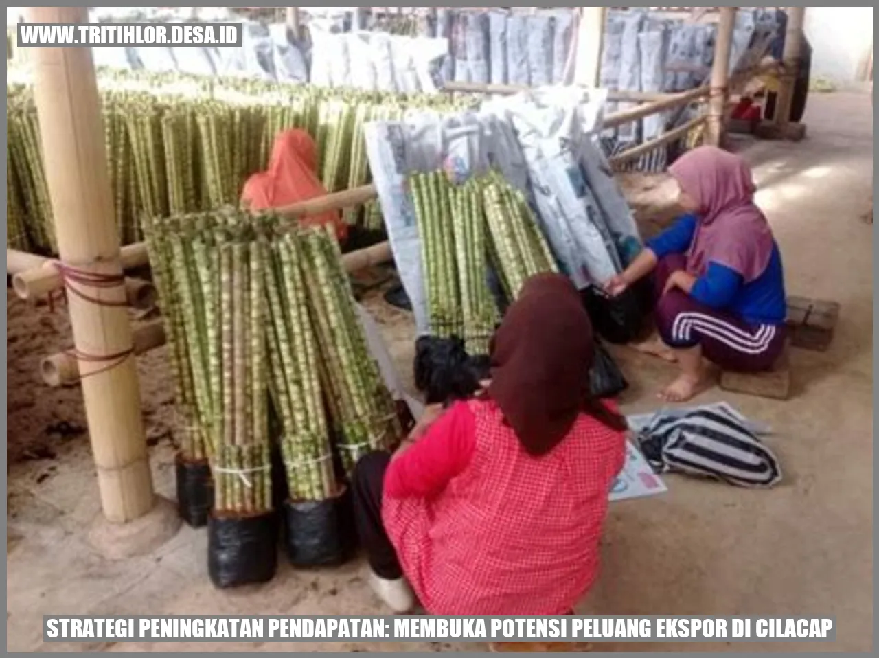 Strategi Peningkatan Pendapatan: Membuka Potensi Peluang Ekspor di Cilacap
