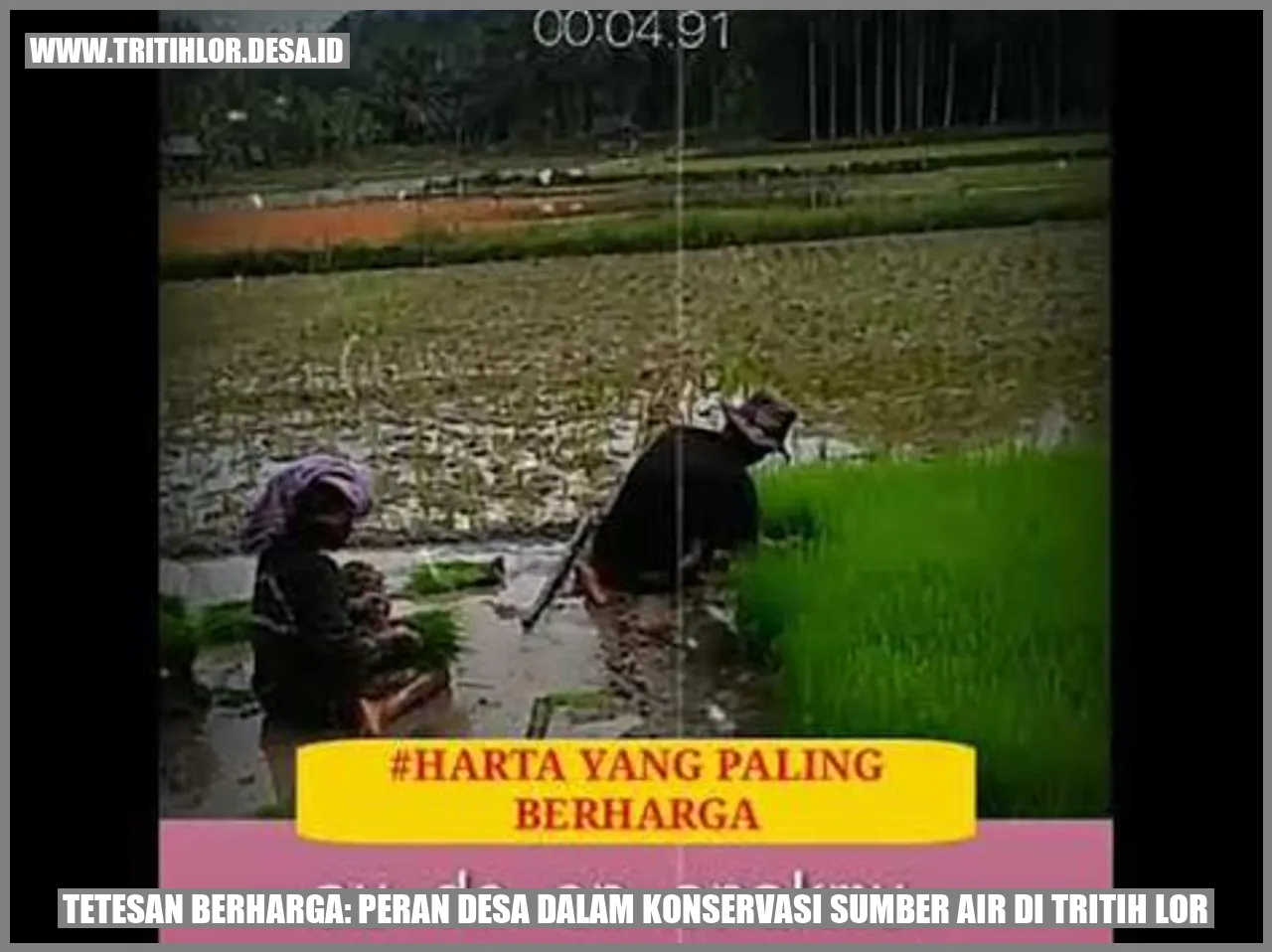 Peran Desa dalam Konservasi Sumber Air di Tritih Lor